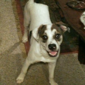 Meet your Posher, Sharon